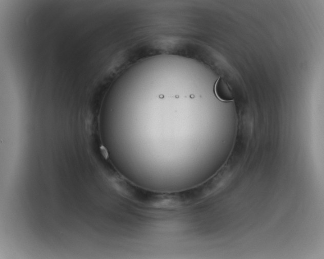 X0000114220750200910161307