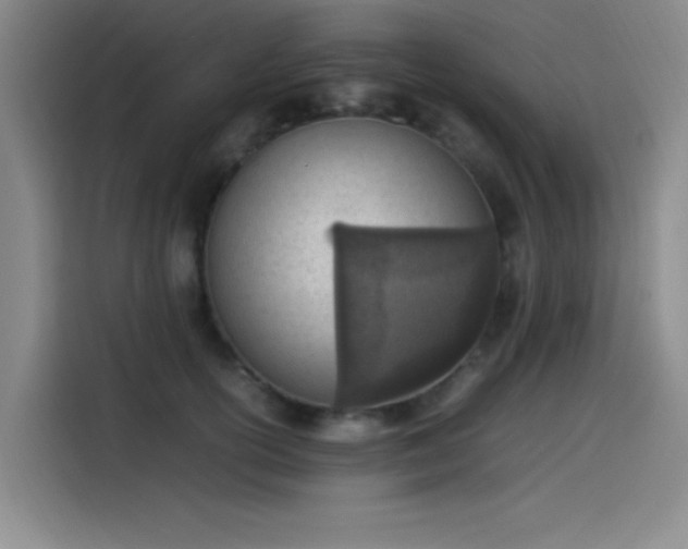 X0000114220754200910161307