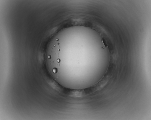 X0000114220756200910161307