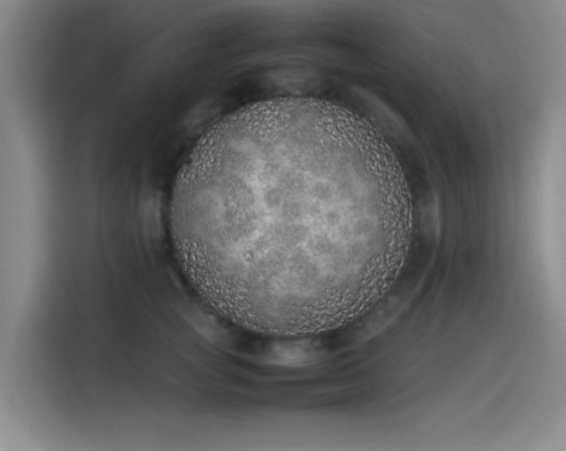 X0000114220757200910161307