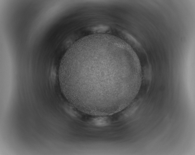 X0000114220761200910161307