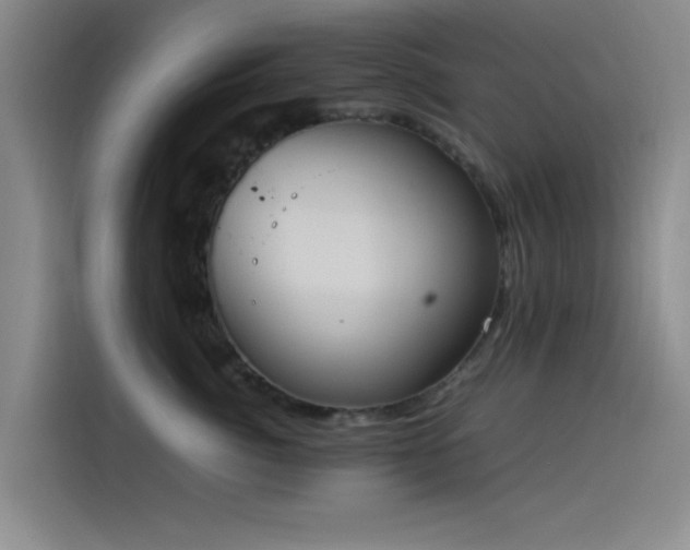 X0000114220764200910161307