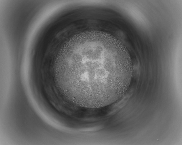 X0000114220765200910161307