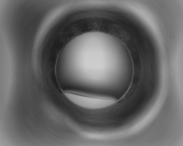 X0000114220766200910161307