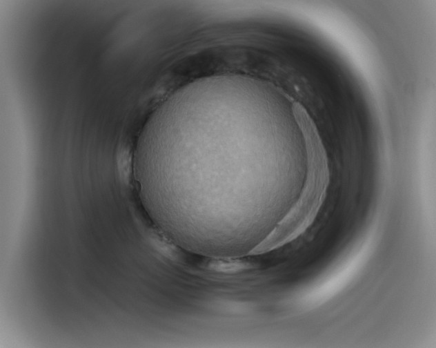 X0000114220767200910161307