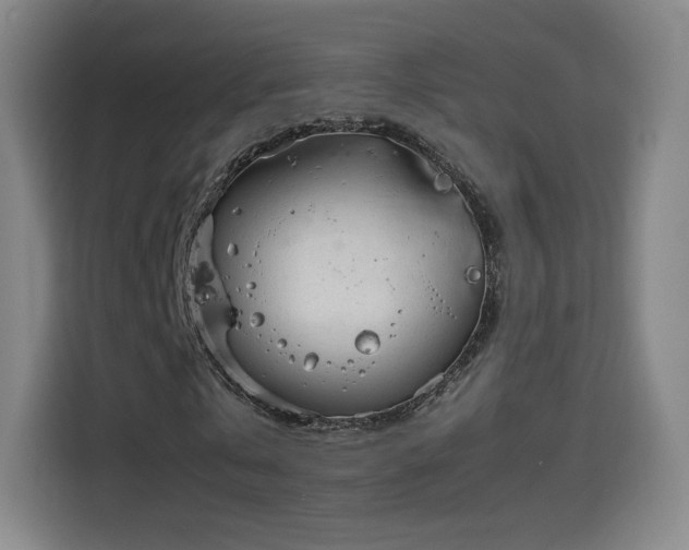 X0000114220769200910161307