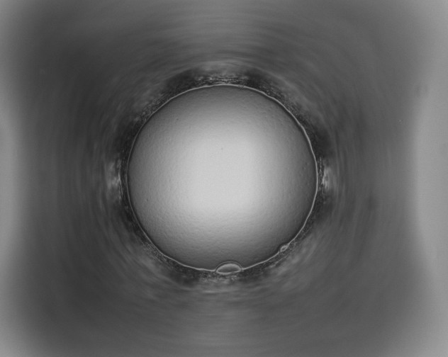 X0000114220771200910161307