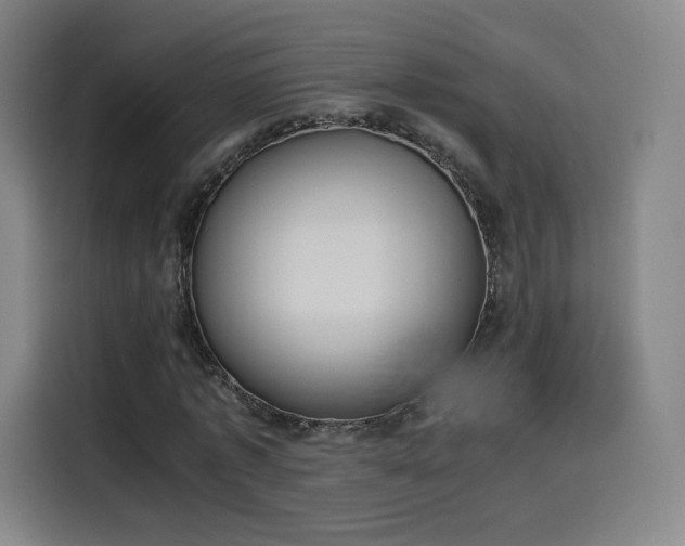 X0000114220773200910161307