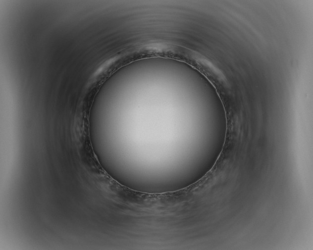 X0000114220776200910161307