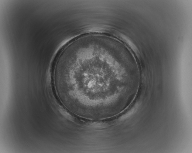 X0000114220779200910161307