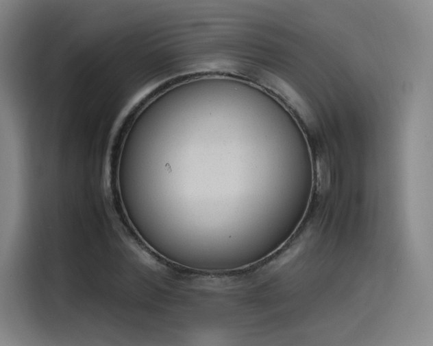 X0000114220780200910161307