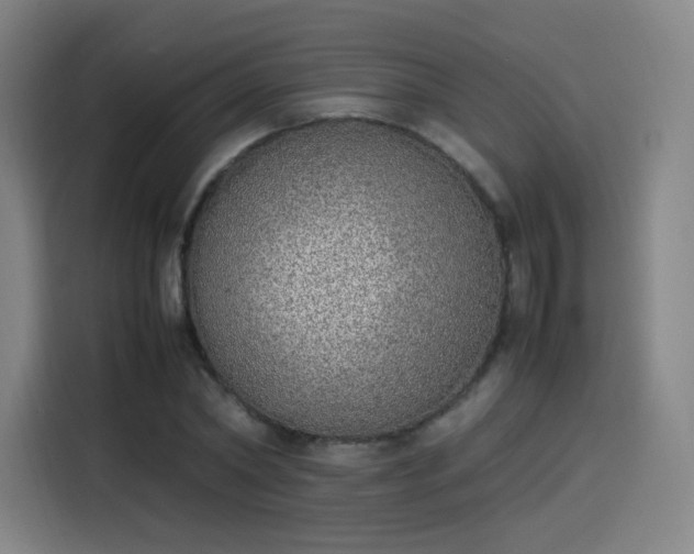 X0000114220782200910161307