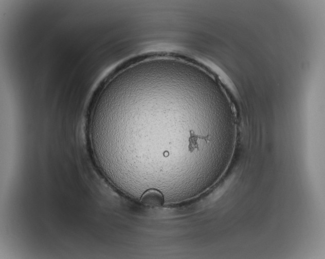 X0000114220783200910161306