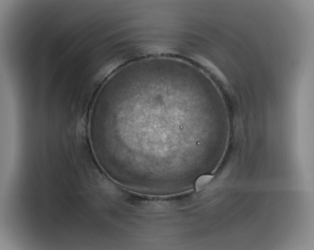 X0000114220785200910161306