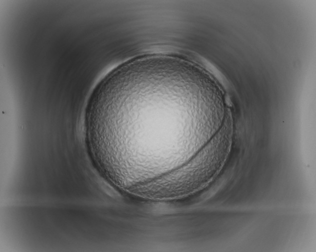 X0000114220787200910161306