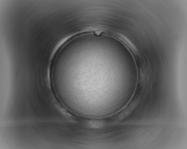 X0000114220788200910161306