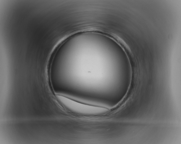 X0000114220789200910161306