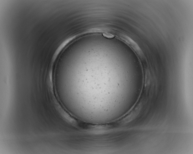 X0000114220796200910161306