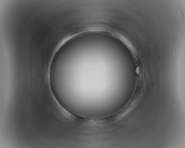 X0000114220803200910161306