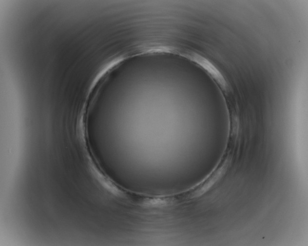 X0000114220806200910161306