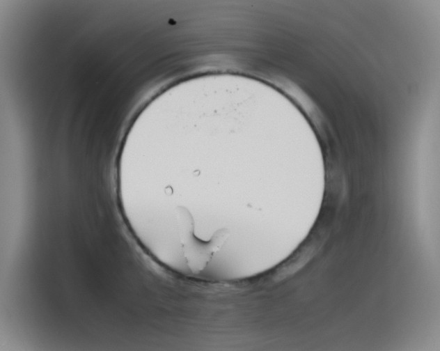 X0000114220807200910161306