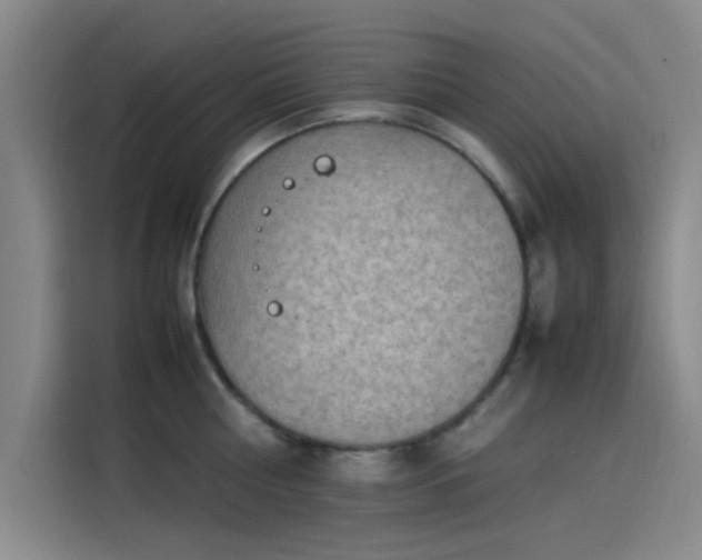 X0000114220810200910161306