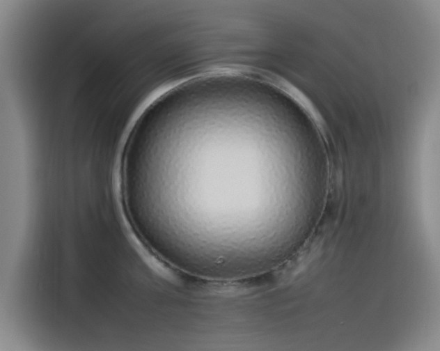 X0000114220811200910161306