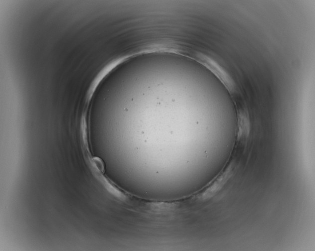 X0000114220812200910161306