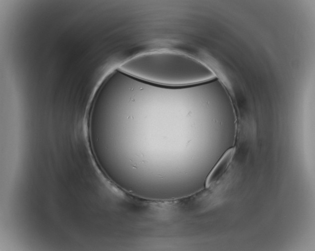 X0000114220813200910161306