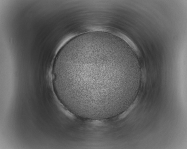 X0000114220814200910161306