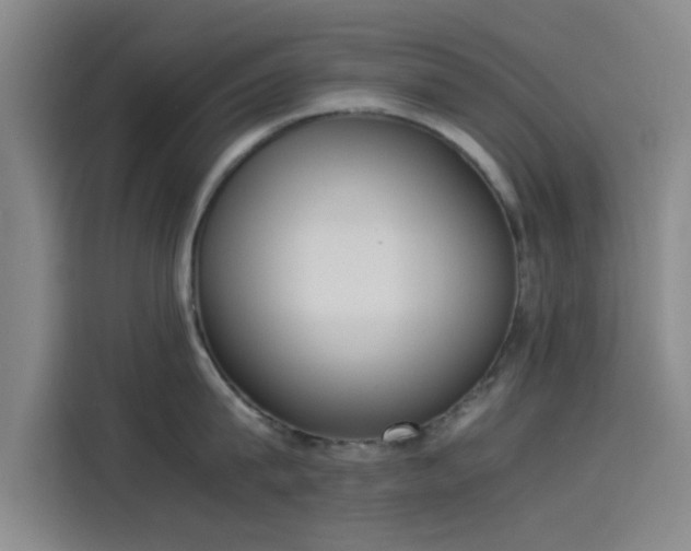 X0000114220815200910161306