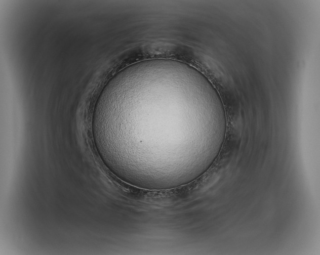 X0000114220817200910161305