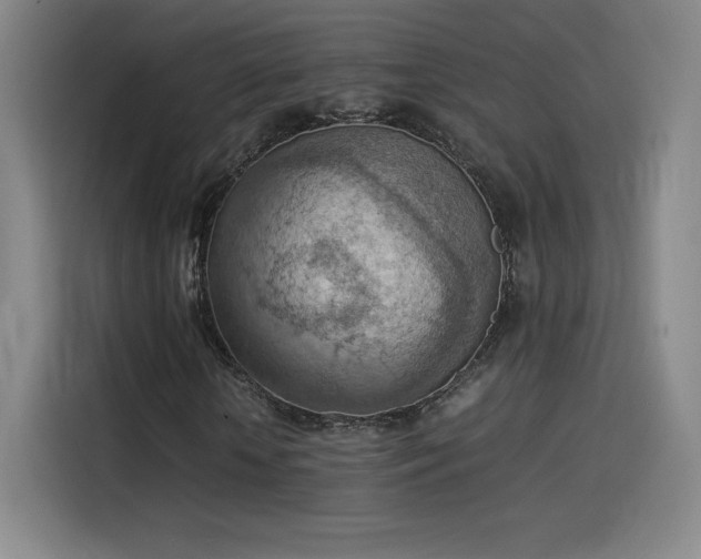 X0000114220818200910161305