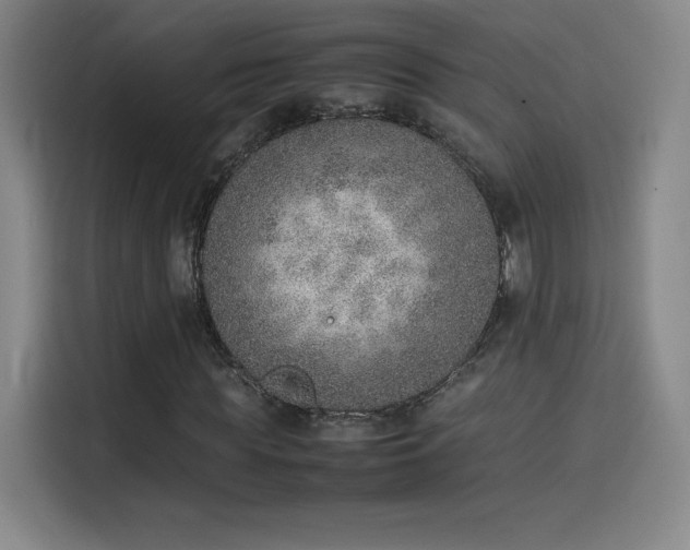 X0000114220819200910161305