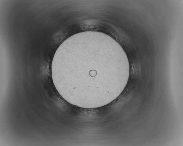 X0000114220820200910161305