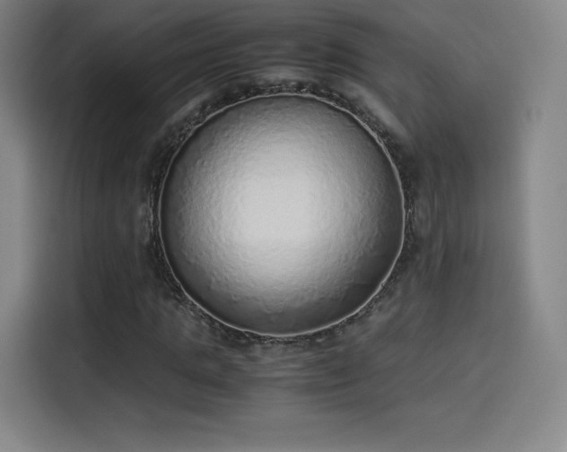 X0000114220821200910161305