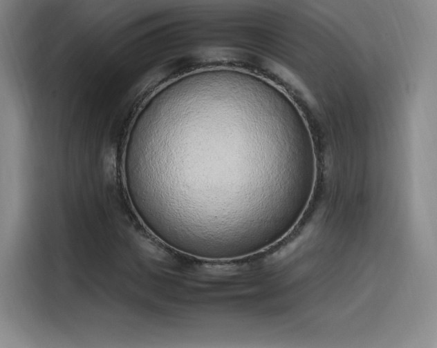 X0000114220825200910161306