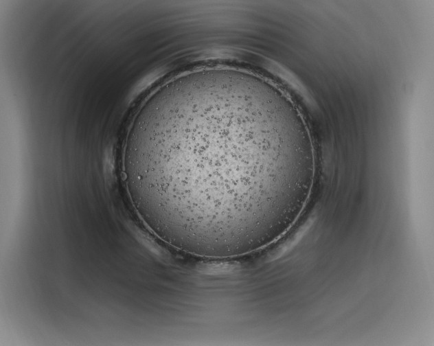 X0000114220826200910161306