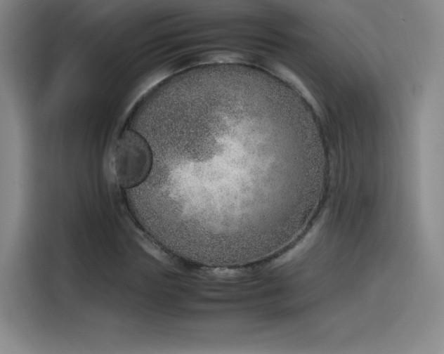 X0000114220827200910161306