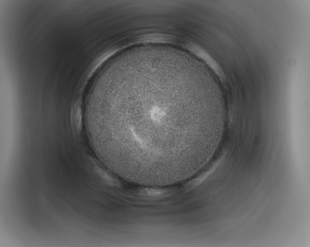 X0000114220829200910161306