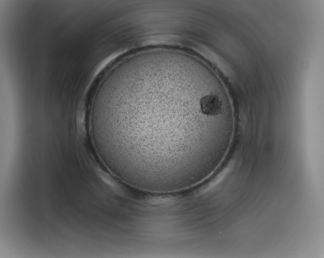 X0000114220830200910161306