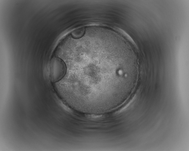 X0000114220831200910161306