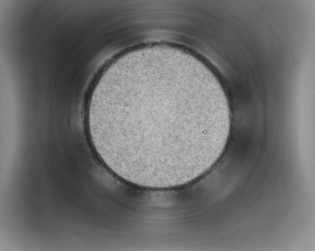 X0000114220832200910161306