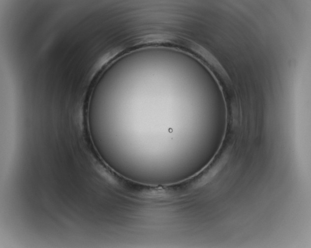 X0000114220834200910161306