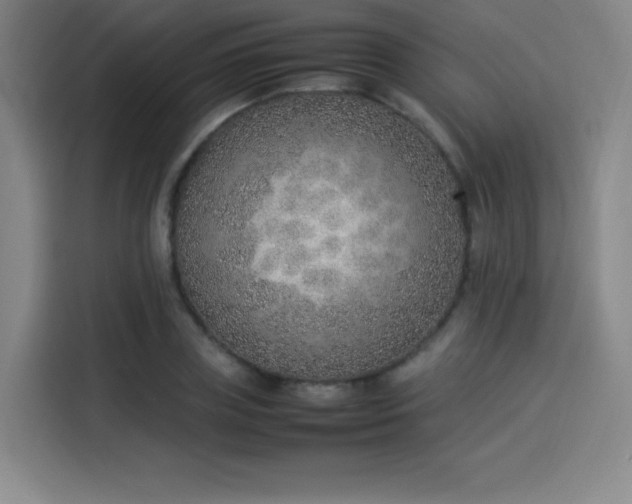 X0000114220835200910161306