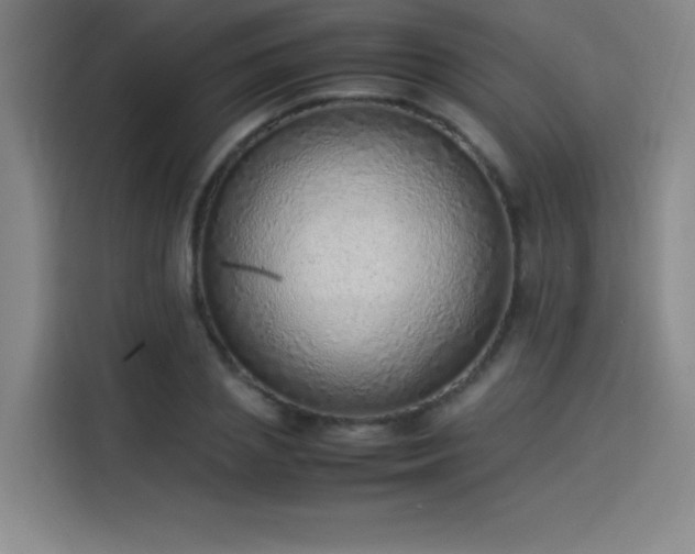 X0000114220837200910161306