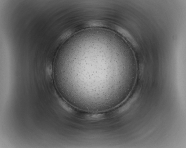 X0000114220841200910161306