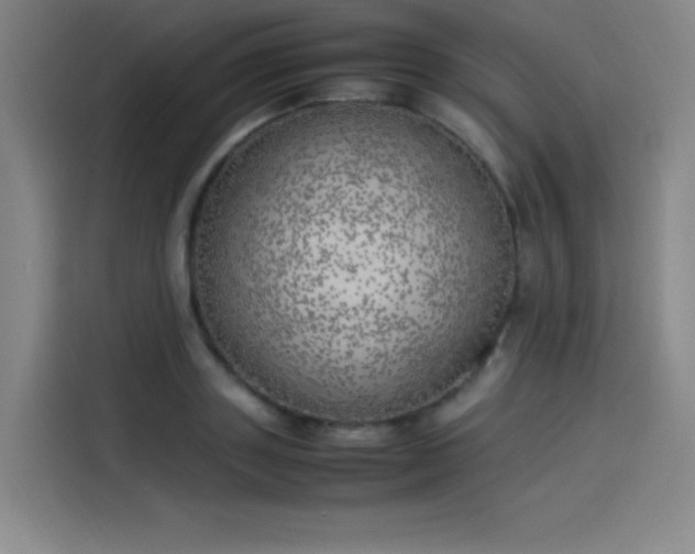 X0000114220843200910161306