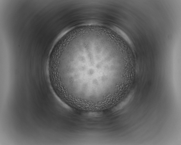 X0000114220847200910161306