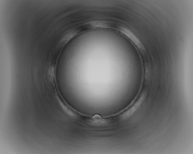 X0000114220849200910161306